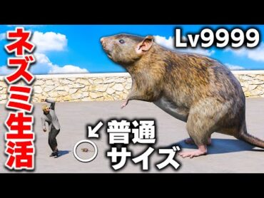 【GTA5】食べすぎて巨大化！ネズミが街を襲う！手配度10になり軍隊もネズミ退治に出動する！巨大ネズミで銀行強盗してみた！ネズミ生活【ほぅ】