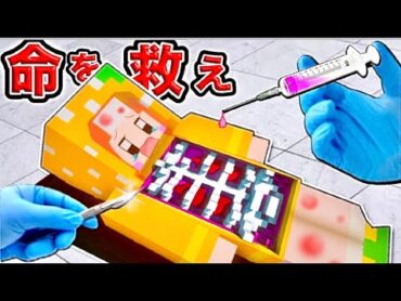 【マイクラ実写】病気になった友達の命を救え！全てがリアルすぎるお医者ごっこをした結果⁉︎ぴこみんず 【まいくら マインクラフトゲーム実況】