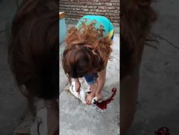 Woman slaughter duck under feet،،telegram channel : slaughterkings