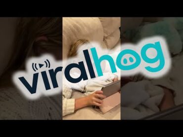 Heart Warming Snuggling Sisters  ViralHog