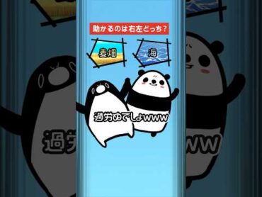 高度1万mから落ちた時助かるのは右左どっち shorts Plottアニメ