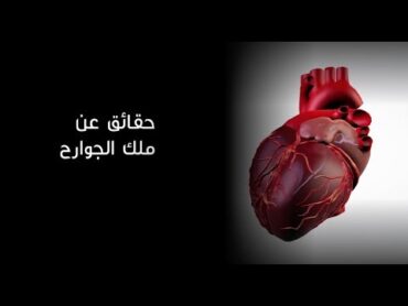 فهد الكندري فسيروا 2  القلب يضخ 5 لتر في الدقيقة