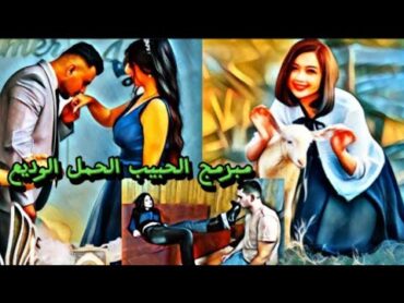 مبرمج. الحمل الوديع 🐑🐏كيف اصبح حبيبك خاضع لك ومطيع هكذا انه مبرمج المعجزة حبيبك خاتم باصبعك