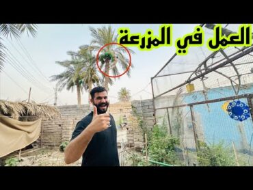 واخيراً نجاح منضومت الرذاذ 💪