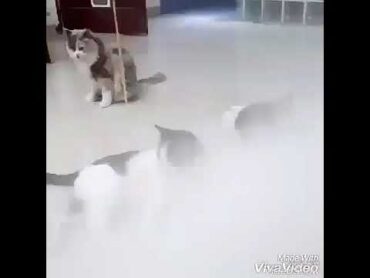 سكس ورعان جديد
