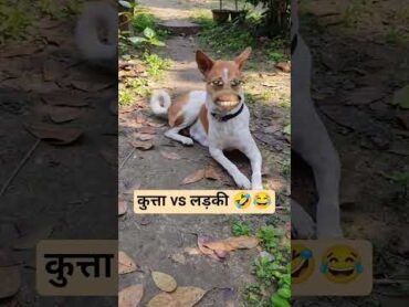Dog vs Girl funny thetharpuns comedy aalupyajjoke gmmaddhesiya vlogwithneha shilpisaroja