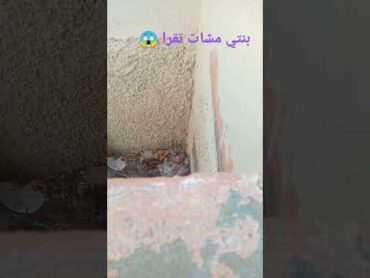 بنتي مشات تقرا  😱😱😱  maroc Marocco marocaine marocain maroco maroccan marocaines maroccan