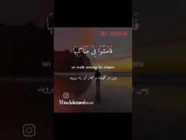 هو الذي جعل لكم الأرض ذلولا فامشوا في مناكبها quran اكسبلور قران المصحف