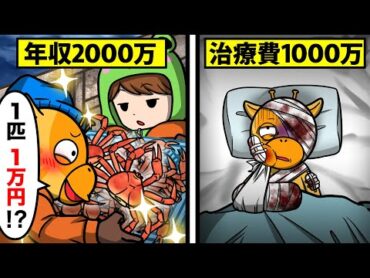 あなたは2000万円のために“カニ漁”に挑戦できますか…？【怖い話】【アニメ】【都市伝説】