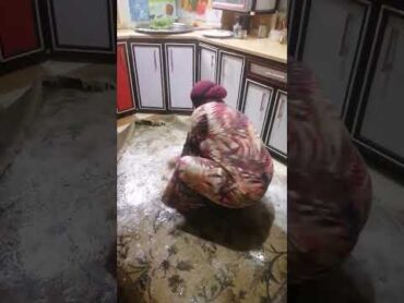 @انتساب منقبه قمرايه التليجرام حد عاوزه