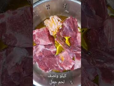 طنجية لحم الجمل في طنجرة الضغط كاتجي روعة