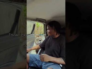 🗣️ أحلام العصر 😂  دبلجة مضحكة اكسبلور السعودية دوبلاج my kingo shorts