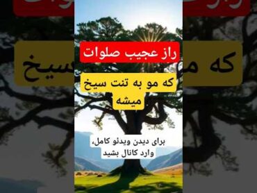 راز پنهان صلوات از نگاه انرژیکی و فرکانسی که میتونه تقدیرت رو عوض کنه