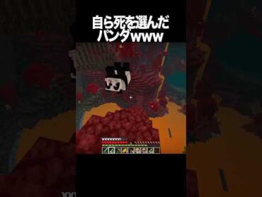パンダがネザーに来た結果 shorts マインクラフト マイクラ
