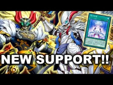 THESE NEW CARDS ARE INSANE!!! TRUE DRACO NEW SUPPORT DECK POST DOOM OF DIMENSIONS! masterduel 遊戯王