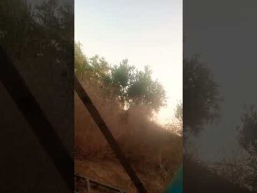 بنتي مشات تقرأ 😲😲explore nature الغلا اكسبلور الجيلي farming الوكره agriculture القرميد