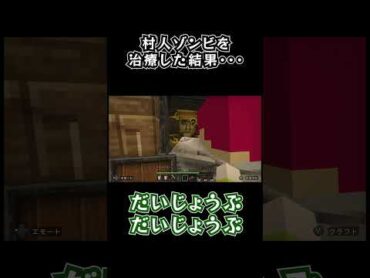【minecraft】村人ゾンビを治療した結果・・・