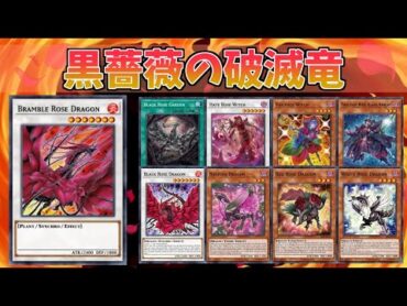 【遊戯王ADS】黒薔薇の破滅竜