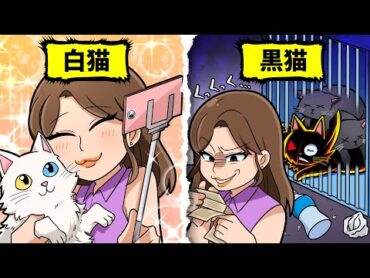 【アニメ】急に大量の保護ネコを飼い始めた人の闇