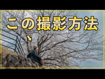 【初心者おすすめ】カメラで写真を撮るとき被写体がいない時の対処法
