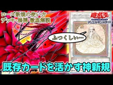 【ローズドラゴン】最高の強化で展開力＋安定感UP！使い方・解説