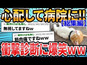 【総集編】飼い主が心配して病院に連れて行くと… ドクターに言われた衝撃的な言葉 犬猫バージョン【2ch面白いスレ】