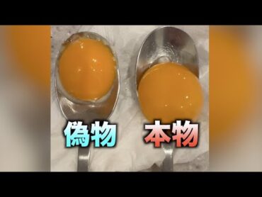 コンビニ弁当の生卵のヤバさが10秒でわかる動画 shorts