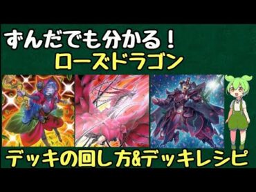 【ずんだもん解説】展開ルート4パターン解説!ローズドラゴンのデッキレシピ&展開を紹介!!【アキ】【コンボ】【デッキ】【展開】【yugioh】