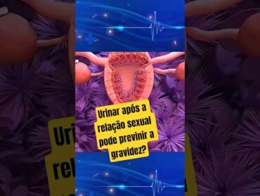 Urinar Após a Relação Impede Gravidez? Mito ou Verdade? Descubra Agora shortsfeed shorts