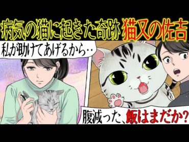 【しゃべる猫との不思議な話】動物病院に勤務してた私が19歳になる『猫又の佐吉』に出会った話【漫画動画】
