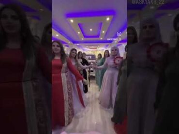 tango live tiktok live