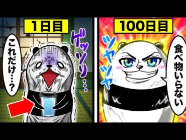 1ヶ月水だけで生活するとどうなるのか【アニメ】