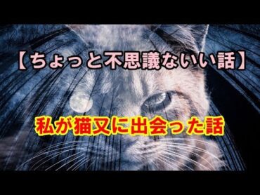【ちょっと不思議ないい話】私が猫又に出会った話【ココロ・ストーリーズ】