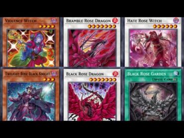 【遊戯王ADS/EDOPRO】黒薔薇の破滅竜【DOOD新規入りブラック・ローズ・ドラゴン植物族】