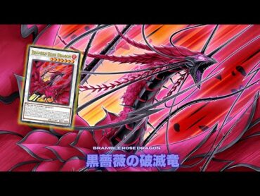 黒薔薇と荊棘の魔女 !!  ブラッド・ローズ・ドラゴン ! 【遊戯王ADS】